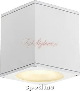 Spotline BIG THEO CEILING OUT 229554 plafon sufitowy 1x75W GU10/ES111 - Lampy ogrodowe - miniaturka - grafika 4