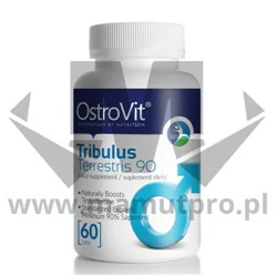 OstroVit Supreme Capsules Tribulus Terrestris 90 60 caps - Aminokwasy OstroVit Supreme Capsules Tribulus Terrestris 90 60 caps - Aminokwasy - miniaturka - grafika 2
