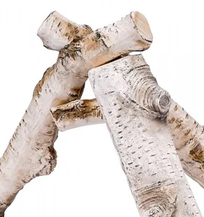 Globmetal Trade Sp. z o.o. Polana drewno ceramiczne do biokominka Brzoza - Akcesoria kominkowe - miniaturka - grafika 3