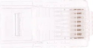 Assmann Wtyk RJ-45 kat.5e uniwersalny 8P8C 100szt X-ML-5U-IMP - Wtyczki i adaptery - miniaturka - grafika 4