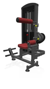 Marbo Sport Maszyna 2-w-1 na grzbiet i brzuch ze stosem MP-U220 - Atlasy do ćwiczeń Marbo Sport Maszyna 2-w-1 na grzbiet i brzuch ze stosem MP-U220 - Atlasy do ćwiczeń - miniaturka - grafika 9