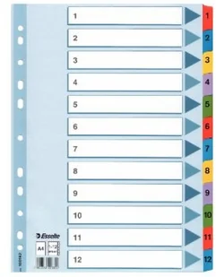 Esselte PRZEKŁADKI KARTONOWE MYLAR A4 1-10 (0B) 100161 - Przekładki do segregatorów - miniaturka - grafika 6