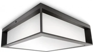 Philips 171849316 Skies 2x42W Plafon zewnętrzny antracytowy - Lampy sufitowe - miniaturka - grafika 2