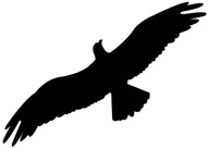 Zwalczanie i odstraszanie szkodników - Naklejki na szyby, ptak drapieżny wzór L30. Naklejka do odstraszania. - miniaturka - grafika 1