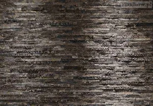 Komar BIRKENRINDE / TKR-8-700 - Fototapety - miniaturka - grafika 2
