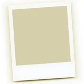 Baterie i akcesoria - GP Bateria R-14 Powercell - miniaturka - grafika 1