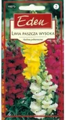 Pozostałe akcesoria do uprawy roślin - Eden LWIA PASZCZA WYSOKA 91844902 - miniaturka - grafika 1
