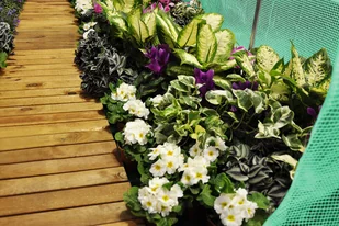 Home&Garden Tunel foliowy 200 x 300 cm (6 m2) stelaż + folia zielona 211418 - Szklarnie ogrodowe - miniaturka - grafika 13