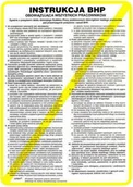 Tablice BHP - Instrukcja ogólna BHP obowiązująca wszystkich pracowników Z-IB1-P rozm. 250x350 (Z-IB1-P-250x350) - miniaturka - grafika 1