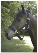 Kantary dla koni - Kantar nylonowy czarny, roz. 1 - miniaturka - grafika 1