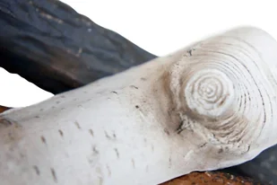 Globmetal Trade Sp. z o.o. Polana drewno ceramiczne do biokominka - Akcesoria kominkowe - miniaturka - grafika 5