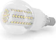 Żarówki LED - Whitenergy żarówka LED | E14 | 80 SMD | 4W | 230V | barwa zimna biała 6000k | kulka B60 (07574) - miniaturka - grafika 1