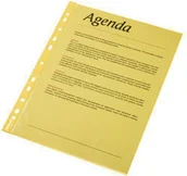 Szkolne artykuły papiernicze - Esselte Polska - Koszulki krystaliczne, kolorowe A4, żółty / 55 mic., 10 - miniaturka - grafika 1