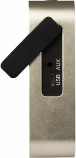 Blaupunkt BT 50 GL Złoty - Głośniki i kolumny - miniaturka - grafika 2