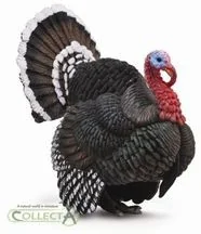 Collecta Indyk L - Figurki dla dzieci - miniaturka - grafika 2