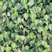 Tapety - Ugepa Faux Semblant J43404 Tapeta ścienna - miniaturka - grafika 1