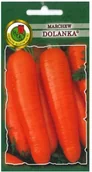 Nasiona i cebule - Nasiona marchew Naomi grupa II 2g - miniaturka - grafika 1