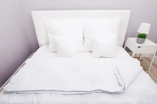 Kołdra 4 pory roku 200x220 + 2 poduszki + 2 jaśki - Kołdry - miniaturka - grafika 5