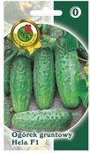 Nasiona i cebule - Nasiona ogórek gruntowy Hela 2 g - miniaturka - grafika 1