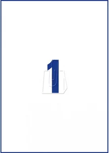 Avery Zweckform Etykiety wysyłkowe przezroczyste A4 210 x 297mm 25 arkuszy Zweckform J8567 - Etykiety samoprzylepne i bloki etykiet - miniaturka - grafika 3