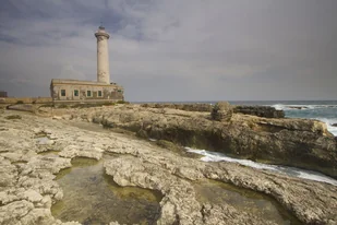 Obiektyw Canon EF-S 10-22mm f/3.5-4.5 USM (9518A007AA) - Obiektywy - miniaturka - grafika 4