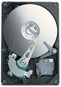 Dyski HDD - Seagate ST3300620AS - miniaturka - grafika 1