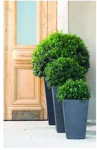 Keter Donica 29 x 29 x 44 cm antracyt - Donice - miniaturka - grafika 2