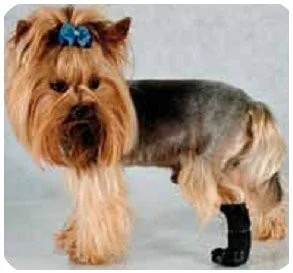 Grande Finale But na chorą łapę r.5 - 10cm 5989 - Specjalistyczne artykuły dla zwierząt - miniaturka - grafika 2