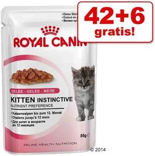 Royal Canin Kitten Instinctive 36 x 85 g w galaretce - Mokra karma dla kotów - miniaturka - grafika 5