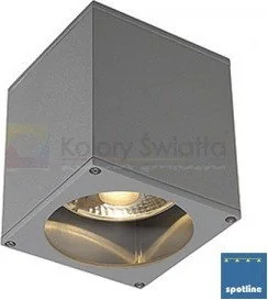 Spotline BIG THEO CEILING OUT 229551 plafon sufitowy 1x75W GU10/ES111 - Lampy ogrodowe - miniaturka - grafika 2