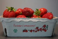 Wyposażenie gospodarstwa rolnego - MAGNAT Pojemniki na maliny 500g A`400 - miniaturka - grafika 1