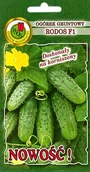 Nasiona i cebule - Pnos Ogórek gruntowy Rodos F1 5g - miniaturka - grafika 1