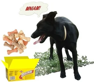 Pedigree Biscrok 500g 16476-uniw - Suplementy i witaminy dla psów - miniaturka - grafika 3