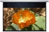 Ekrany projekcyjne - DeLuxx Advanced Elegance (234x132) (HAS220BE) - miniaturka - grafika 1