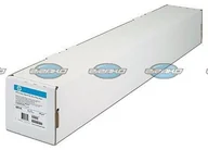 Papier do drukarek - HP Papier fotograficzny Realistic Poster Paper (1372mm, 61m) CG420A - miniaturka - grafika 1