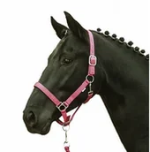 Akcesoria jeździeckie - HKM Hkm Halfter Stars Softice, Weich Unterlegt - miniaturka - grafika 1