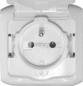 Gniazdka elektryczne - Legrand Gniazdo 2P+Z 16 A - 250 V - Forix IP44 Szary 782395 - miniaturka - grafika 1