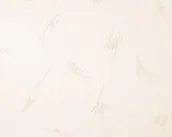 Tapety - A.S. Creation Tapeta ścienna 3347-18 Simply White Creation - miniaturka - grafika 1