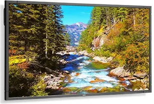 NEC MultiSync E705 - Monitory reklamowe i wyświetlacze - miniaturka - grafika 4