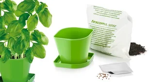 Tescoma ZESTAW DO UPRAWY ZIÓŁ SENSE, BAZYLIA 899060 - Pojemniki na przyprawy - miniaturka - grafika 2