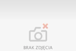 Polux Naświetlacz LED 30W 300W zimna barwa światła, LPP30CWGB COB IP65 302410 - Lampy pozostałe - miniaturka - grafika 6