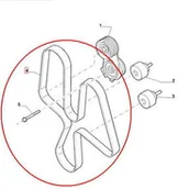 Części i akcesoria do maszyn rolniczych - CNH PASEK WIELOKLINOWY 87301964 - miniaturka - grafika 1