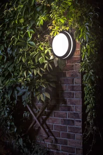 Redlux Plafon Sonya R10361 IP54 - Lampy sufitowe - miniaturka - grafika 3