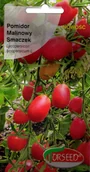 Nasiona i cebule - Torseed Pomidor Malinowy Smaczek 0,1g - miniaturka - grafika 1