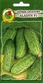 Nasiona i cebule - Pnos Ogórek gruntowy Aladyn F1 50g - miniaturka - grafika 1