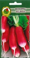 Nasiona i cebule - Pnos Rzodkiewka Silesia 10g - miniaturka - grafika 1