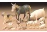 Modele do sklejania - Tamiya Livestock Set GXP-499161 - miniaturka - grafika 1