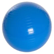 Piłki do ćwiczeń - Spartan Piłka gimnastyczna 55 cm - miniaturka - grafika 1