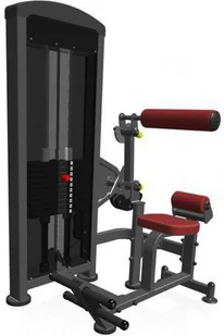 Marbo Sport Maszyna 2-w-1 na grzbiet i brzuch ze stosem MP-U220 - Atlasy do ćwiczeń Marbo Sport Maszyna 2-w-1 na grzbiet i brzuch ze stosem MP-U220 - Atlasy do ćwiczeń - miniaturka - grafika 2