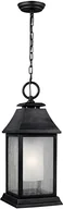 Lampy ogrodowe - Elstead Lighting Lampa wisząca FE/SHEPHERD/8L IP44 - miniaturka - grafika 1